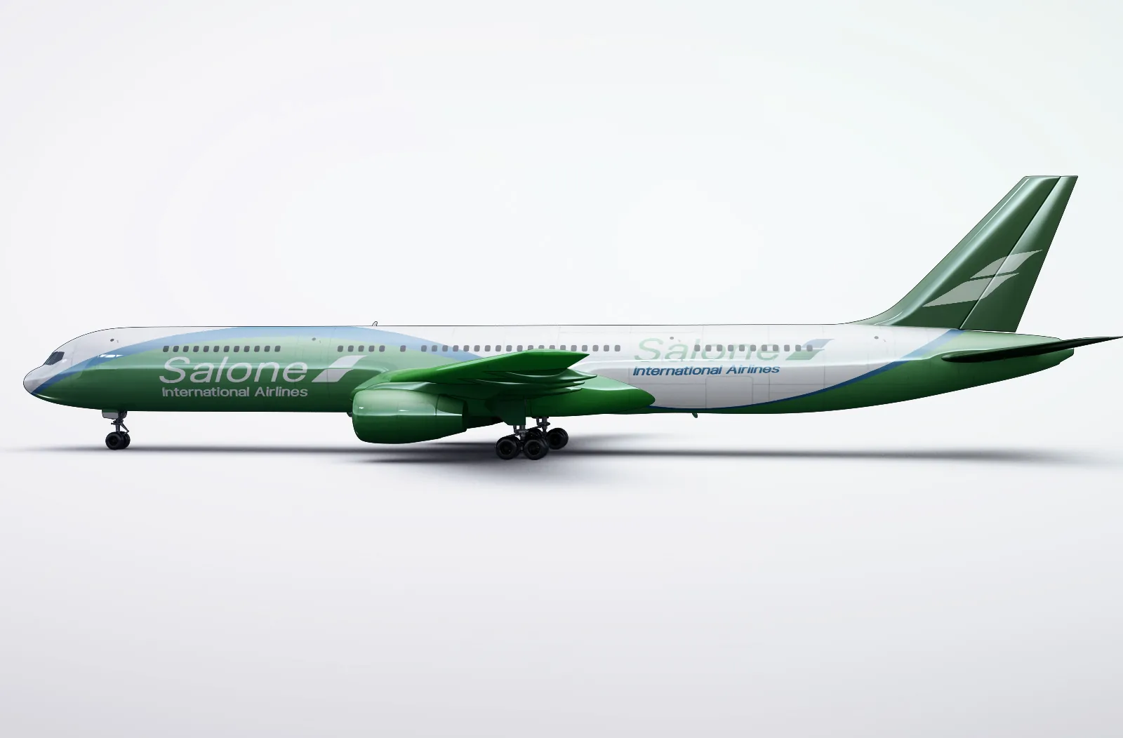 Salone International Airlines widebody aircraft in company livery